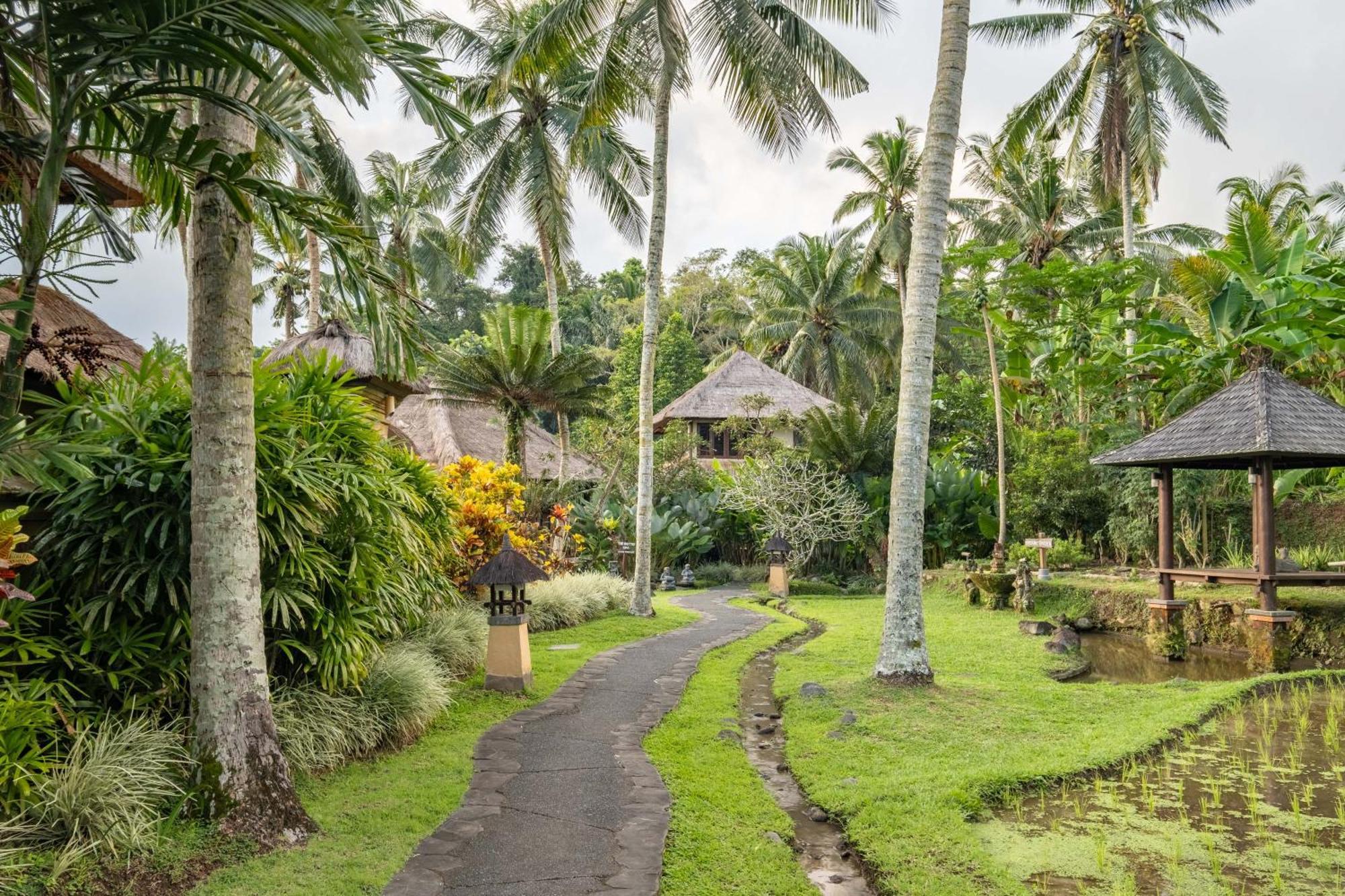 Villa Semana Resort Ubud Екстер'єр фото