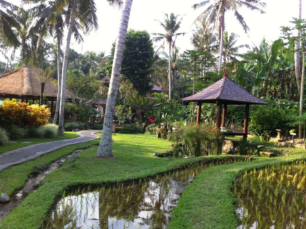 Villa Semana Resort Ubud Екстер'єр фото